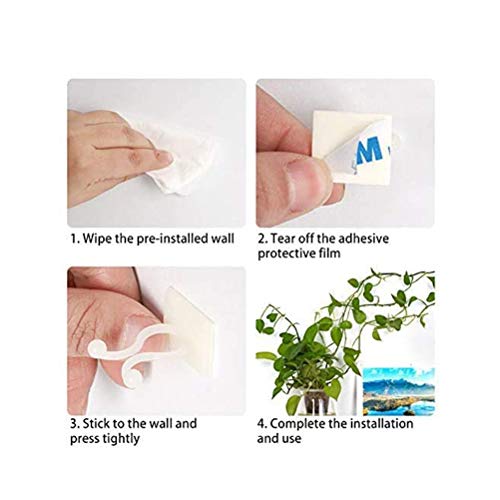 xiaopingguo Plant Climbing Wall Fixture Clips Vine Plant Climbing ...