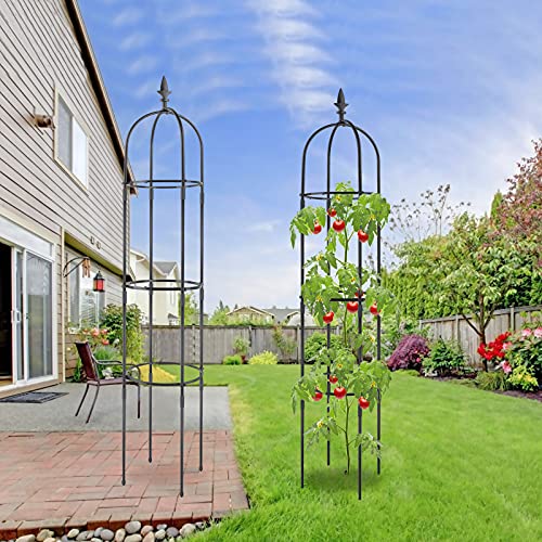 Garden Obelisk Trellis for Climbing Plants, Rustproof Plastic Coat...