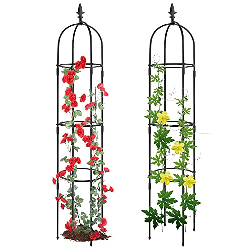 Garden Obelisk Trellis for Climbing Plants, Rustproof Plastic Coat...