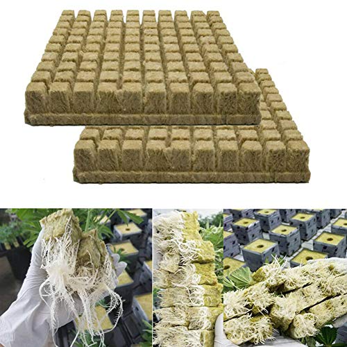 Grow Cubes, Rockwool Grow Cubes Starter Sheets, Rock Wool Starter ...