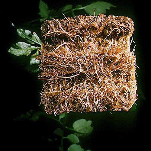 Grow Cubes, Rockwool Grow Cubes Starter Sheets, Rock Wool Starter ...