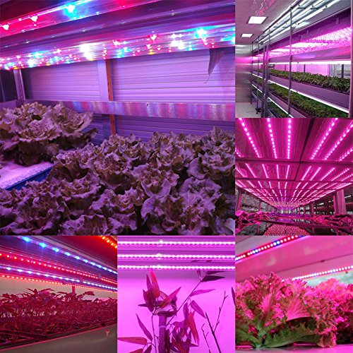 XUNATA 16.4ft LED Plant Grow Strip Light, SMD 5050 Waterproof Full...