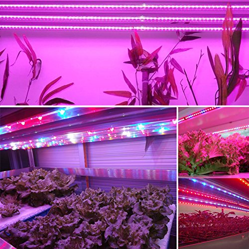 XUNATA 16.4ft LED Plant Grow Strip Light, SMD 5050 Waterproof Full...