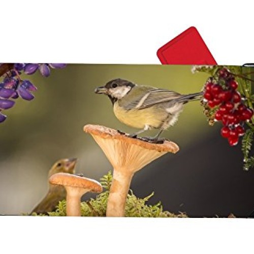 XW-FGF Berry Bird Flower Moss Mushroom Wildlife Magnetic mailbox c...