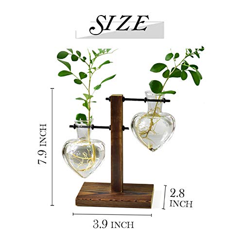 XXXFLOWER Plant Terrarium Wooden Stand, Hydroponic Planter Bulb Gl...