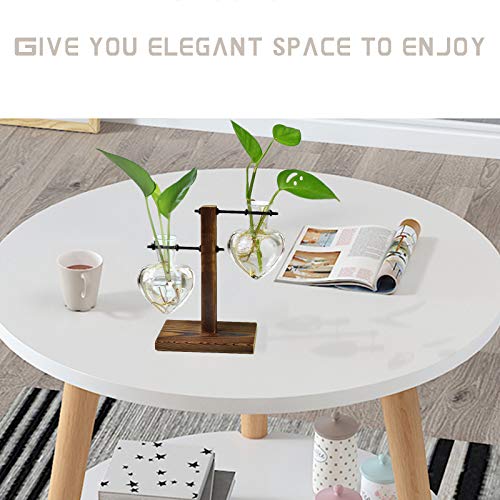 XXXFLOWER Plant Terrarium Wooden Stand, Hydroponic Planter Bulb Gl...