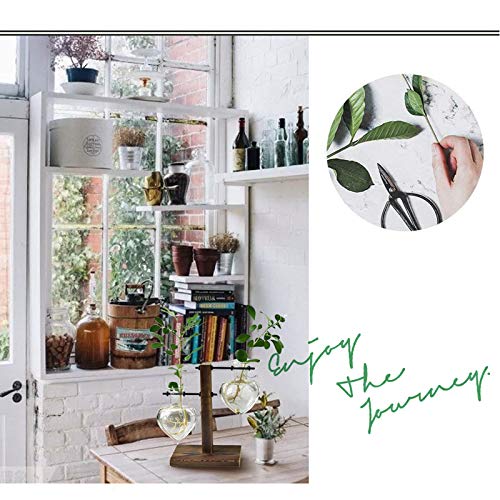 XXXFLOWER Plant Terrarium Wooden Stand, Hydroponic Planter Bulb Gl...