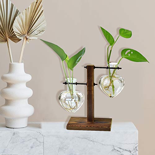 XXXFLOWER Plant Terrarium Wooden Stand, Hydroponic Planter Bulb Gl...