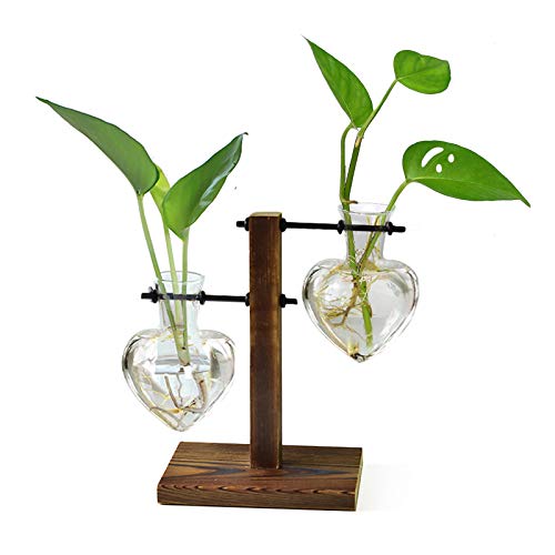 XXXFLOWER Plant Terrarium Wooden Stand, Hydroponic Planter Bulb Gl...