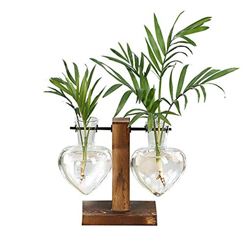XXXFLOWER Plant Terrarium Wooden Stand, Hydroponic Planter Bulb Gl...