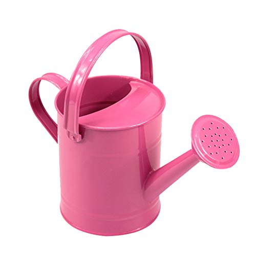 Yarnow Metal Watering Can Garden Watering Bucket Sprinkler - 1.5L ...