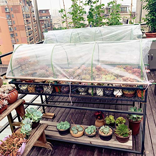 YBB 4.9 x 9.8 Feet Clear Plastic Greenhouse Film, 6 mil Thickness ...