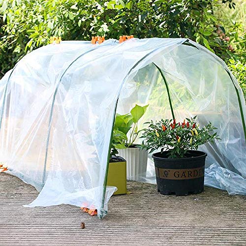 YBB 4.9 x 9.8 Feet Clear Plastic Greenhouse Film, 6 mil Thickness ...