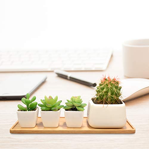 2 Pack Plant Saucer, Mini Rectangle Bamboo Tray, Drainage Pot Sauc...