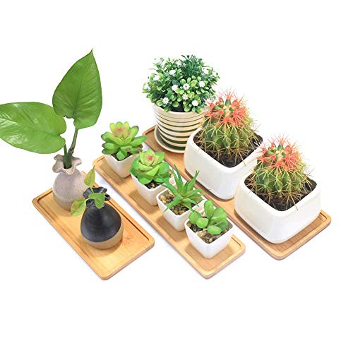 Plant Saucer, Mini Rectangle Bamboo Tray, Drainage Pot Saucer, Rec...