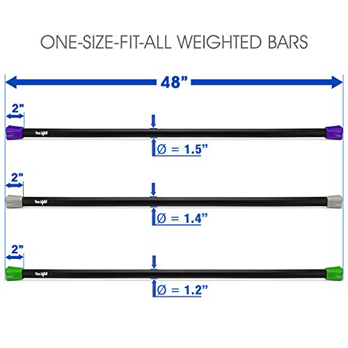 Yes4All Total Body Weighted Workout Bar, Body Bar For Exercise, Th...