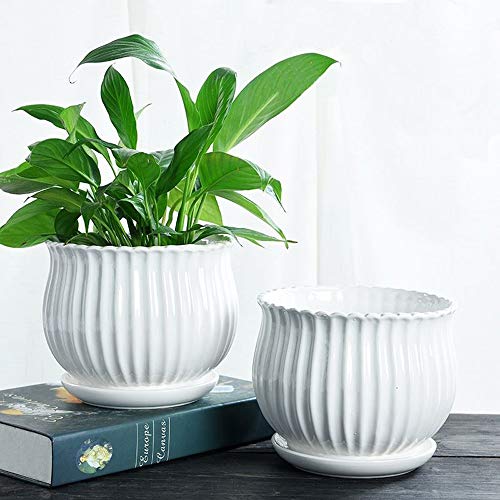 Yesland Ceramic Flower Plant Pots with Saucer, Set of 3 in Differe...