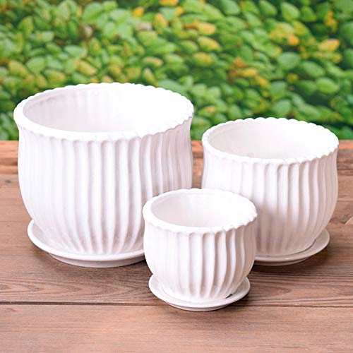 Yesland Ceramic Flower Plant Pots with Saucer, Set of 3 in Differe...