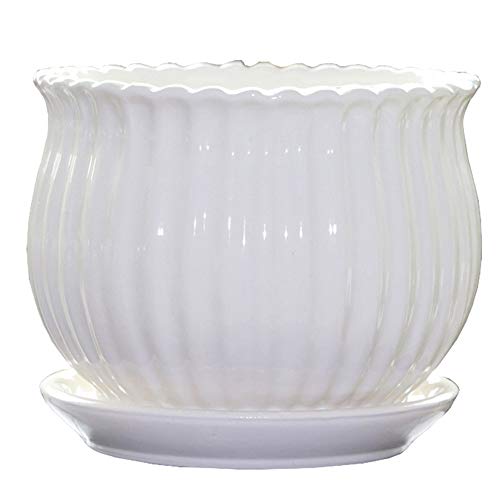 Yesland Ceramic Flower Plant Pots with Saucer, Set of 3 in Differe...