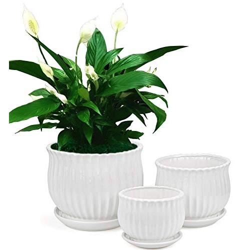 Yesland Ceramic Flower Plant Pots with Saucer, Set of 3 in Differe...
