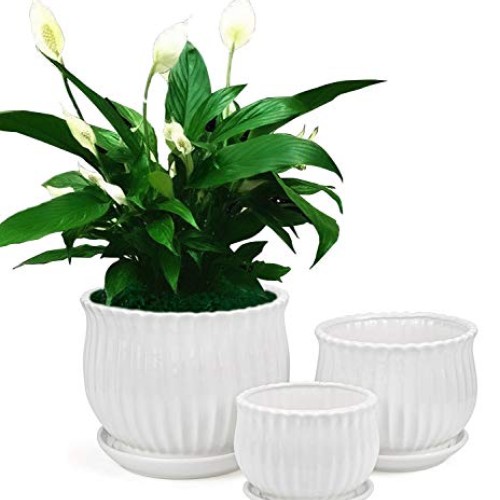 Yesland Ceramic Flower Plant Pots with Saucer, Set of 3 in Differe...