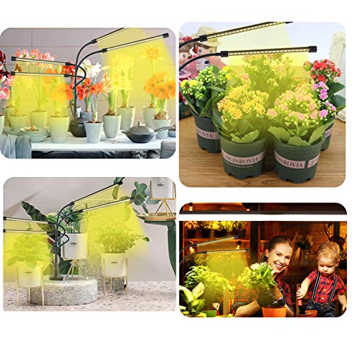 BINKBANG Grow Light Plant LED Growing Lamps for Indoor Full Spectr...