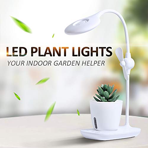 YGJD Desk Lamp Pink