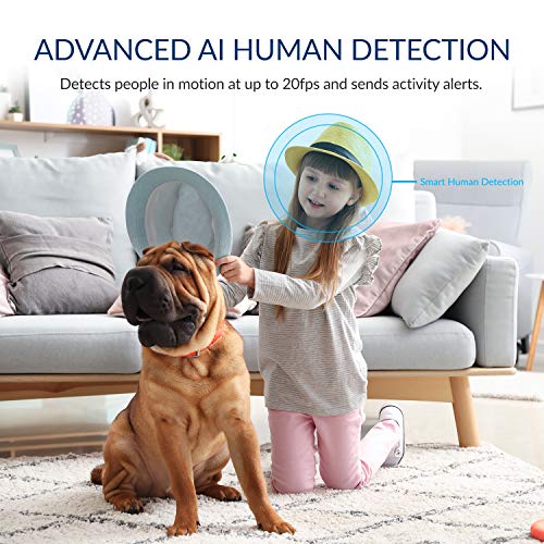 YI 2pc Pan-Tilt Dome Security Camera, 360 Degree 2.4G Smart Indoor...
