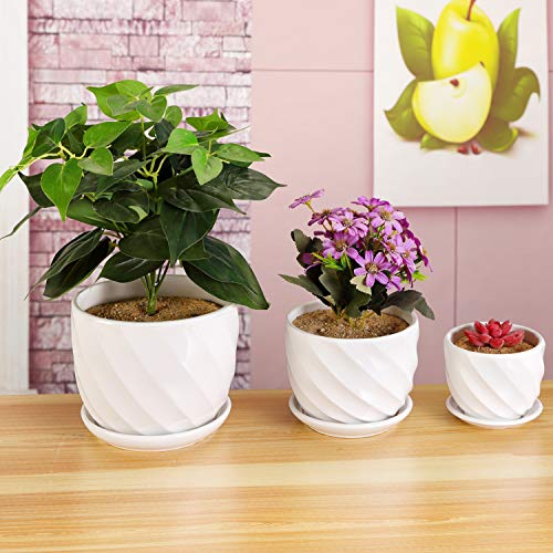 Yinger-WG Set of 3 Ceramic Plant Pot - Flower Plant Pots Indoor wi...