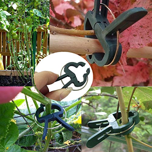 Yinghezu 40 Pcs Plant Support Clips,Flower and Vine,Garden Tomato ...