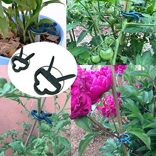 Yinghezu 40 Pcs Plant Support Clips,Flower and Vine,Garden Tomato ...