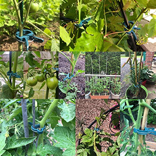 Yinghezu 40 Pcs Plant Support Clips,Flower and Vine,Garden Tomato ...