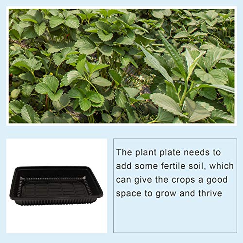 5/10 Pack Seed Starter Trays Seedling Tray Square Black Cultivatio...