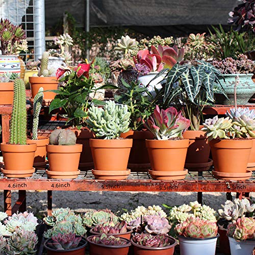 Terra Cotta Pots with Saucer- 6-Pack Large Terracotta Pot Clay Pot...