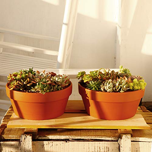 Yishang Large Terracotta Pots for Succulent - 10 Inch Cactus Plant...
