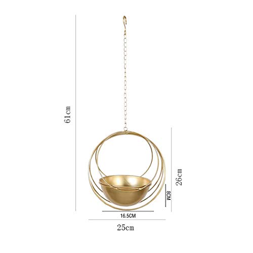 RISEON Boho Gold Metal Plant Hanger,Metal Geometric Hanging Plante...