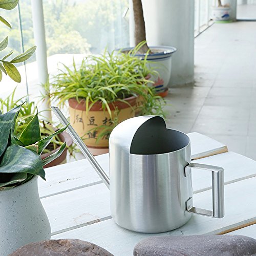 YISSN Mini Bonsai Watering Can for Indoor Plants Stainless Steel, ...