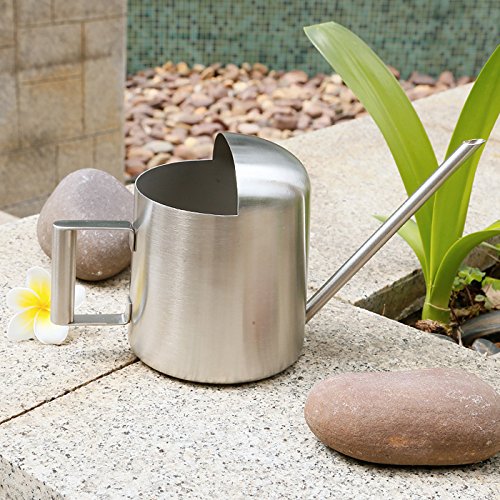 YISSN Mini Bonsai Watering Can for Indoor Plants Stainless Steel, ...