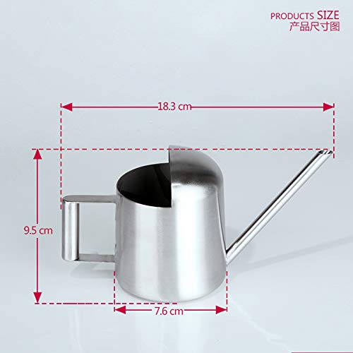 YISSN Mini Bonsai Watering Can for Indoor Plants Stainless Steel, ...