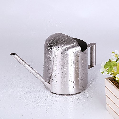 YISSN Mini Bonsai Watering Can for Indoor Plants Stainless Steel, ...