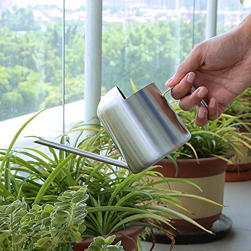 YISSN Mini Bonsai Watering Can for Indoor Plants Stainless Steel, ...