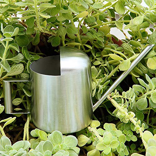 YISSN Mini Bonsai Watering Can for Indoor Plants Stainless Steel, ...