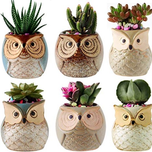 Gifts for Women,2.5 Inch Owl Succulent Plants Pots,Office Decor,Pl...