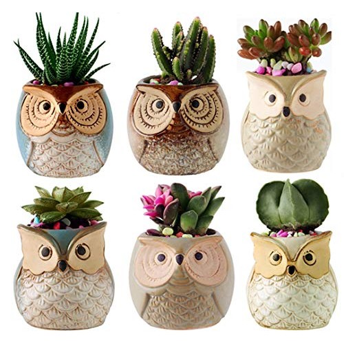 Gifts for Women,2.5 Inch Owl Succulent Plants Pots,Office Decor,Pl...