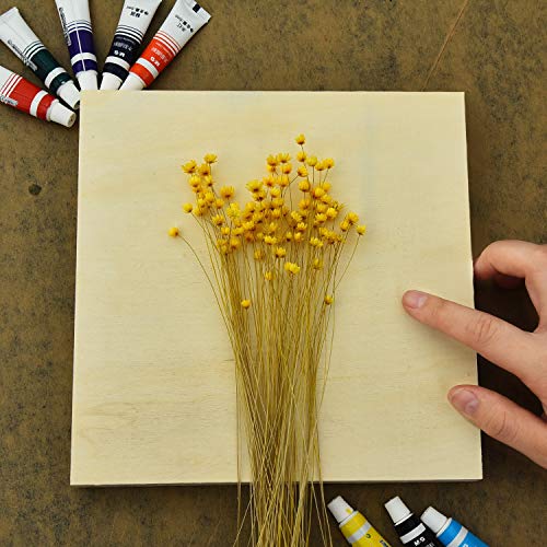 YoleShy 6 Pcs 8 x 8 Unfinished Wood Cradled Painting Panel Boa...