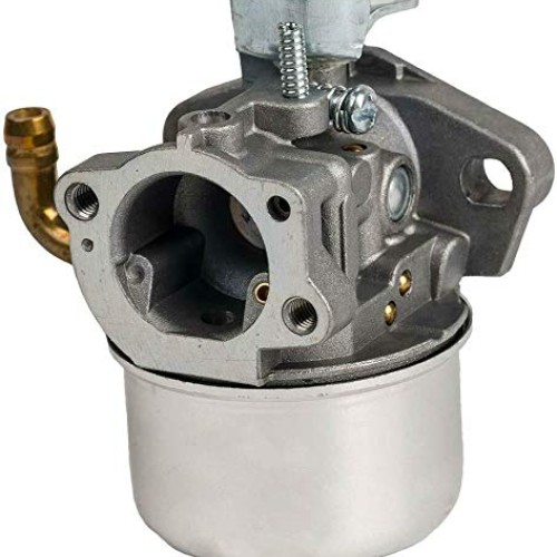Yomoly Carburetor Compatible with Craftsman 247.776350 Wood Chippe...