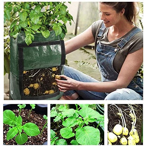 YOQXHY 3 Pack Potato Grow Bags 10 Gallon Garden Vegetables Plant...