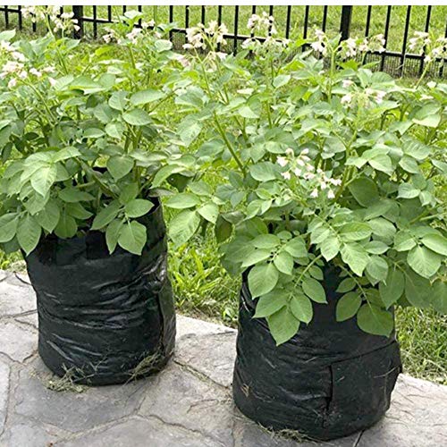 YOQXHY 3 Pack Potato Grow Bags 10 Gallon Garden Vegetables Plant...