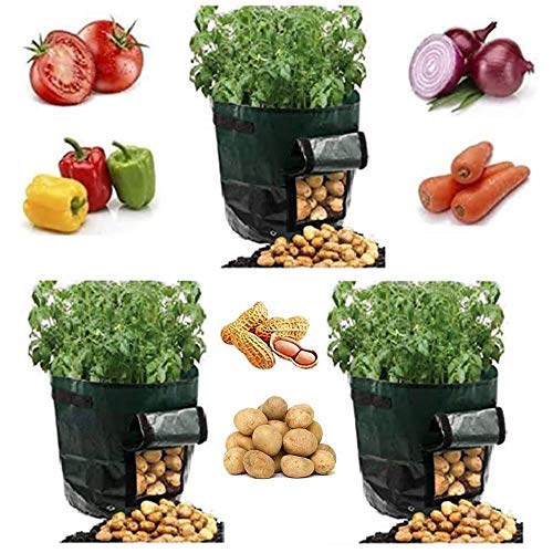 YOQXHY 3 Pack Potato Grow Bags 10 Gallon Garden Vegetables Plant...