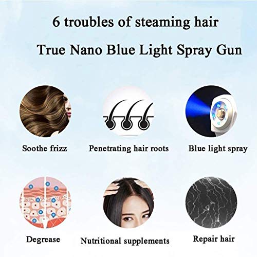 260ML Nano Steam Spray Disinfectant, 1200W Portable Handheld Atomi...